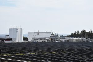 マチノカタチ　福島県浪江町の青写真（3）交流・連携　地元雇用生む